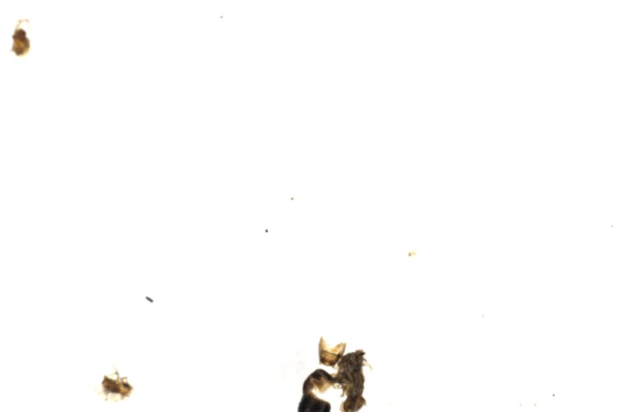 Image 44